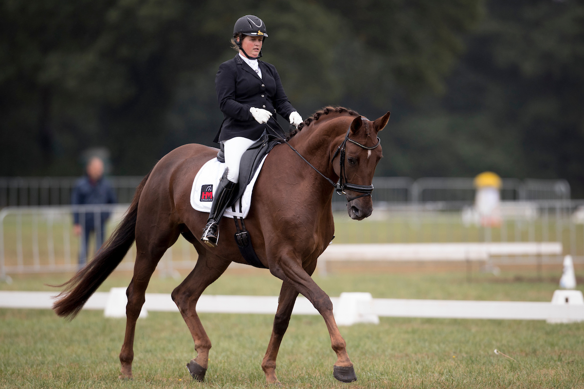 Nationaal Hechtel-Eksel dressuur