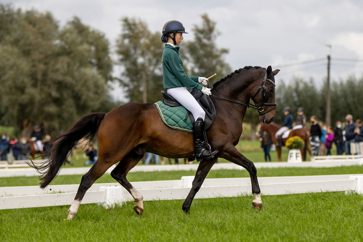 Nationaal Ponytornooi Dressuur