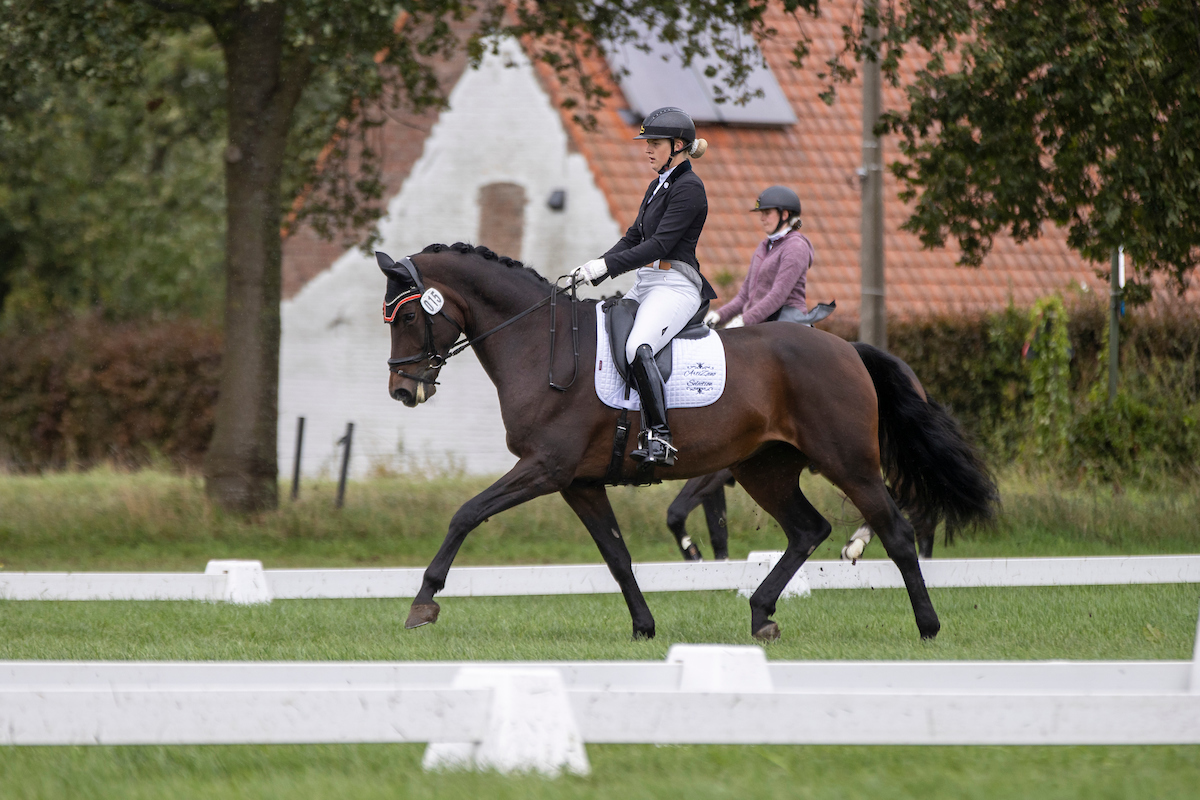 De Backer X-OUDE20B0675