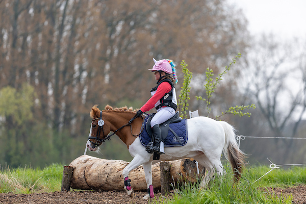 kleine pony