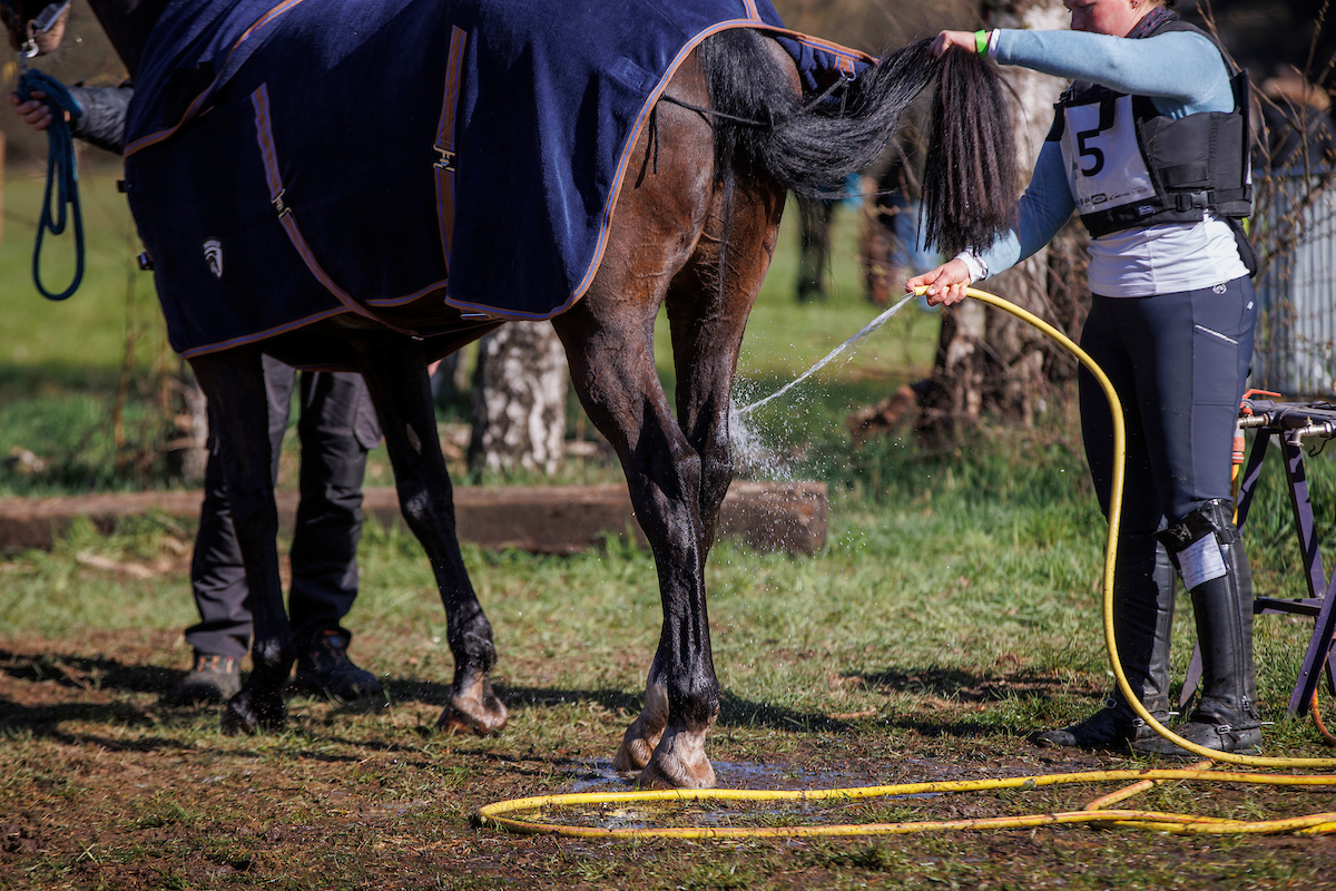 Eventing Lille
