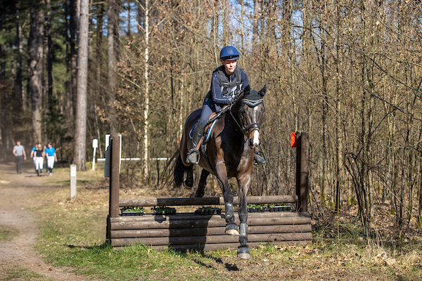 Overpelt paarden