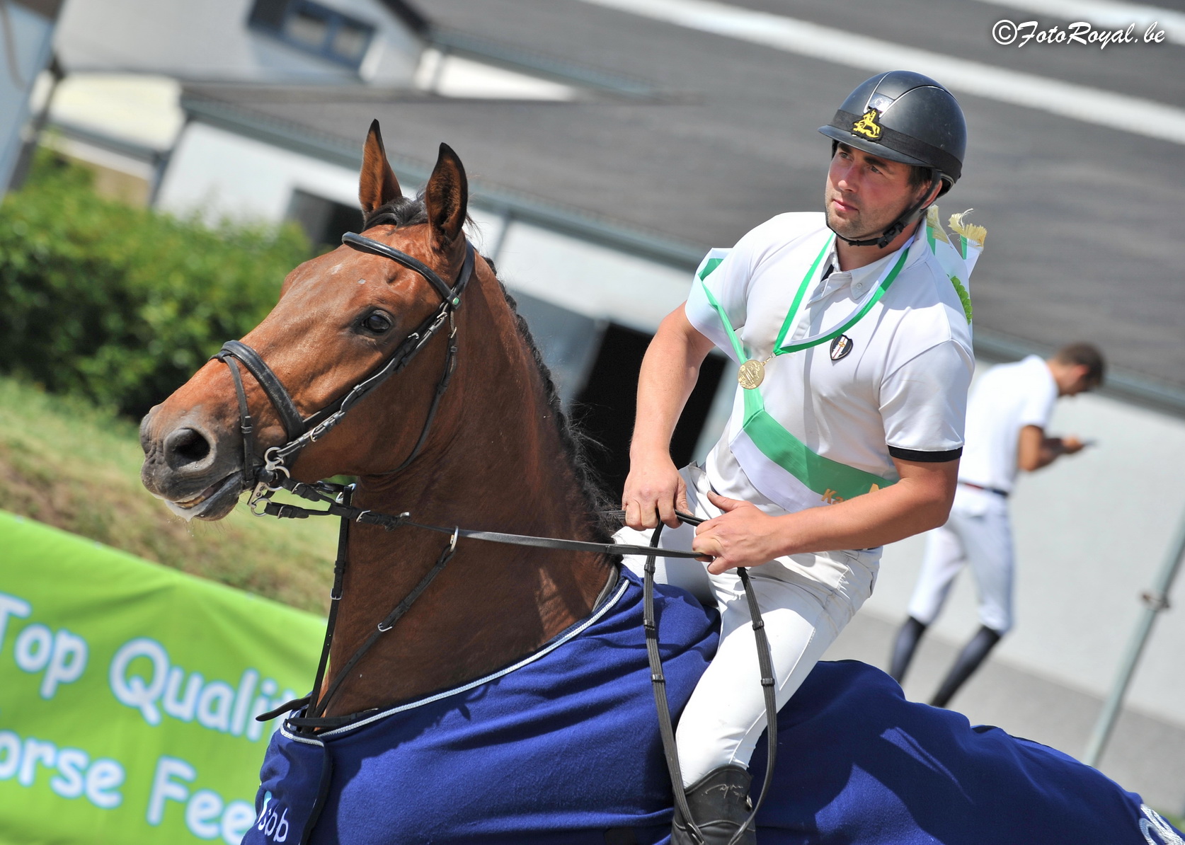 SBB-Competitie voor Jonge Paarden