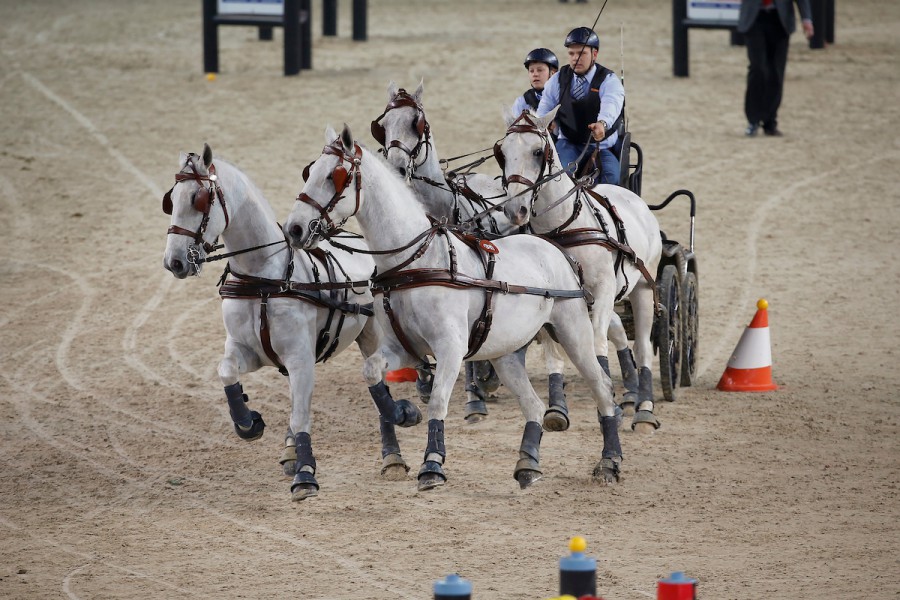 Mennen Flanders Indoor Cup