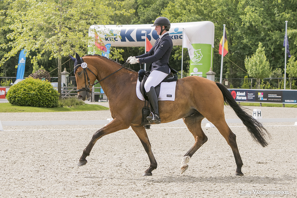 Sbb - Competitie