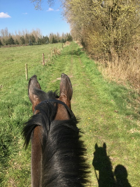 wandelen te paard