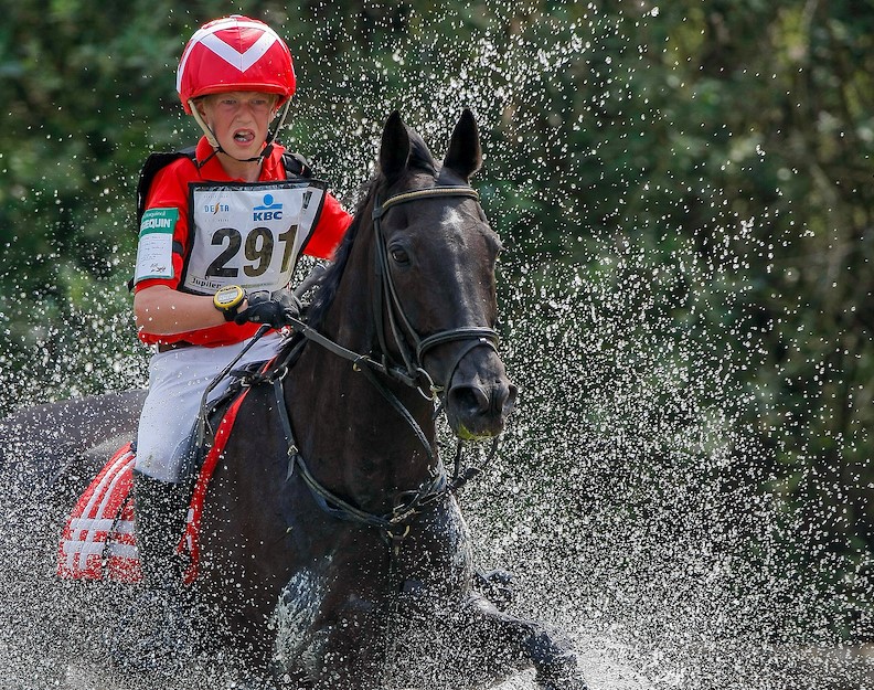 pieter - eventing