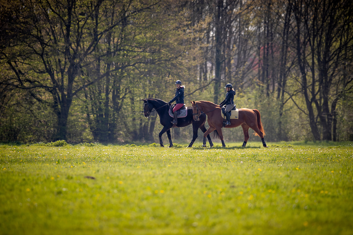 buiten 2 ruiters