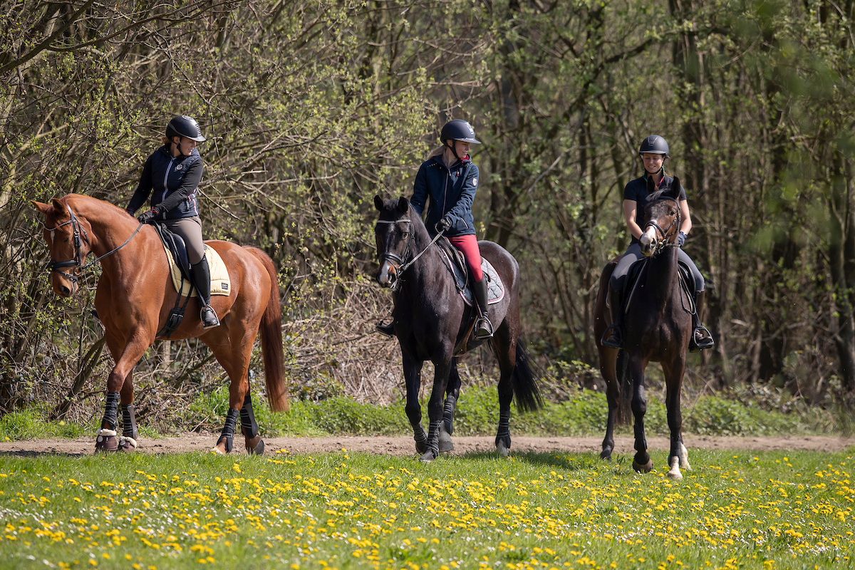 wandeling buiten