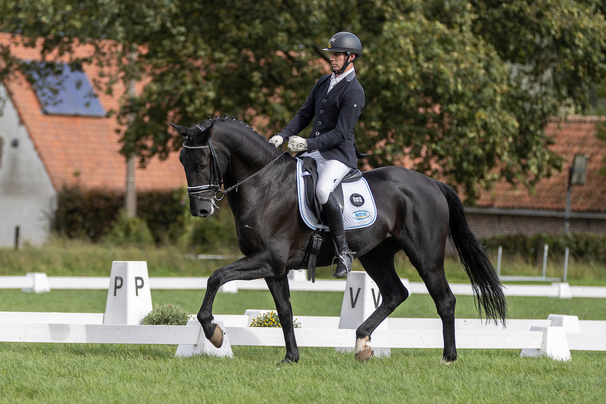 Rombouts Stijn Nationaal Jonge Paarden