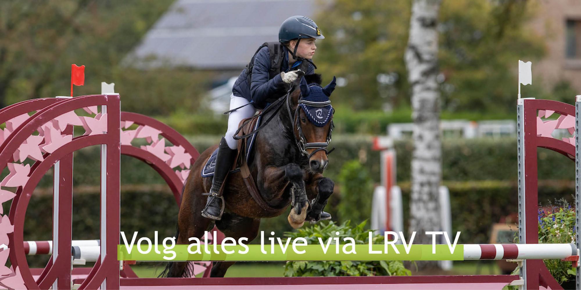 SBBJPony KBC DTC
