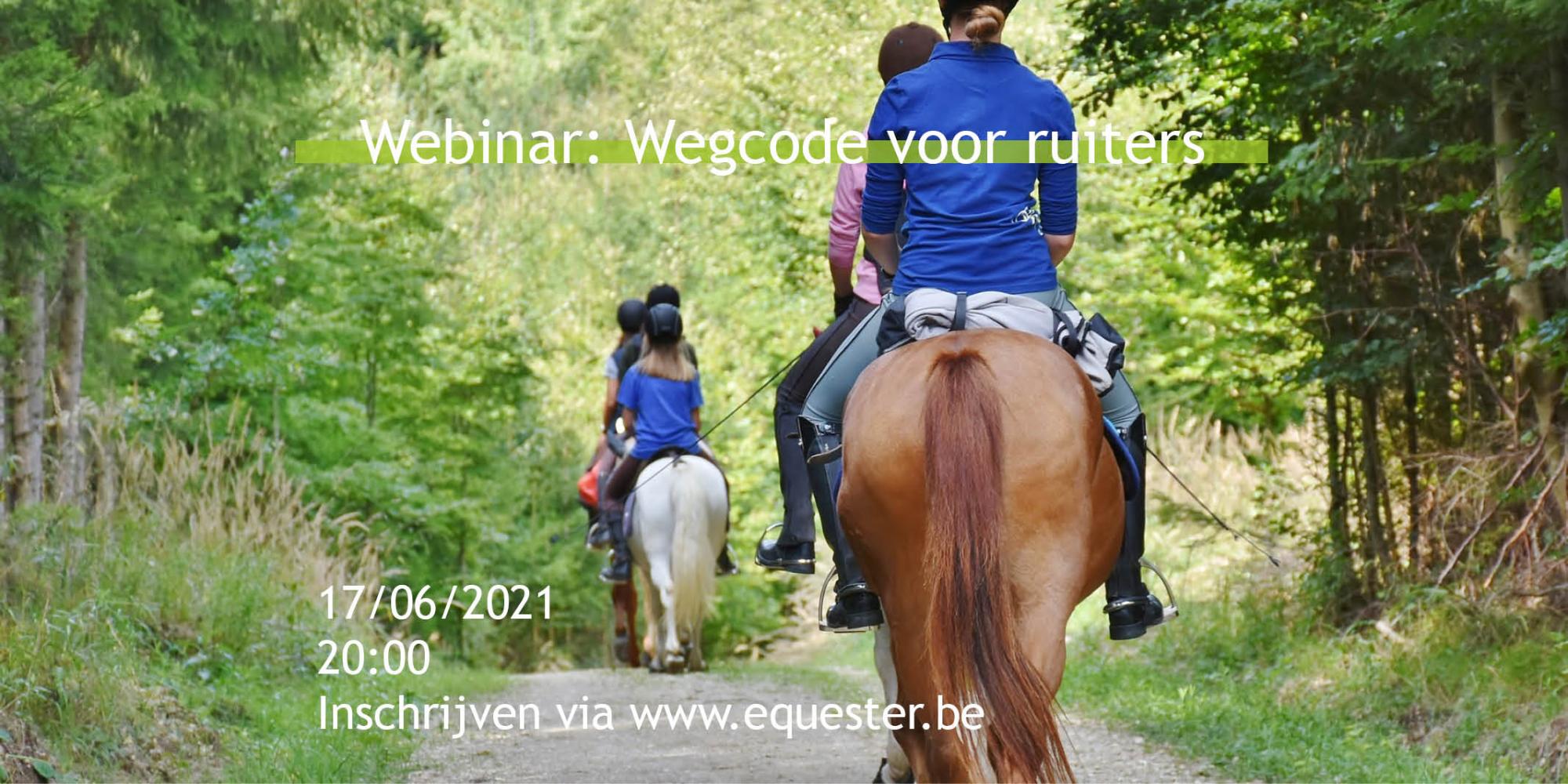Visual webinar wegcode voor ruiters