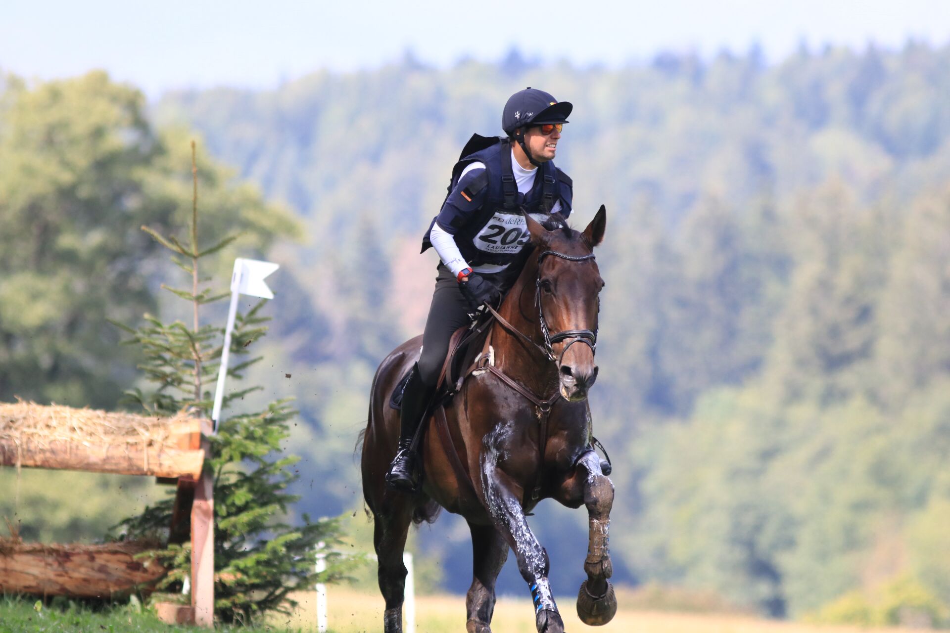 EK Eventing Lausanne LRV tweede