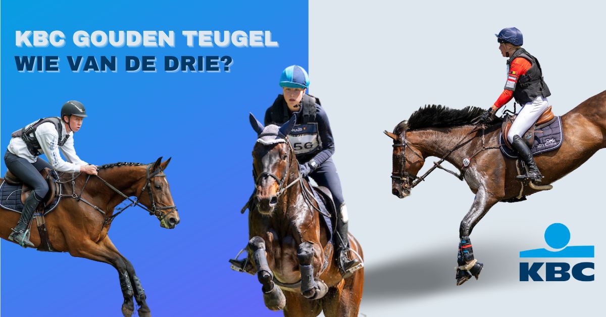 kbc gouden teugel