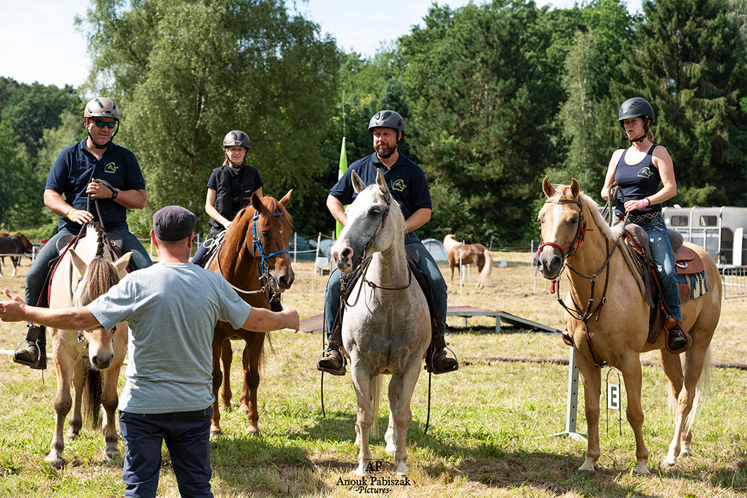 Traditionele Working Equitation LRV Alea club