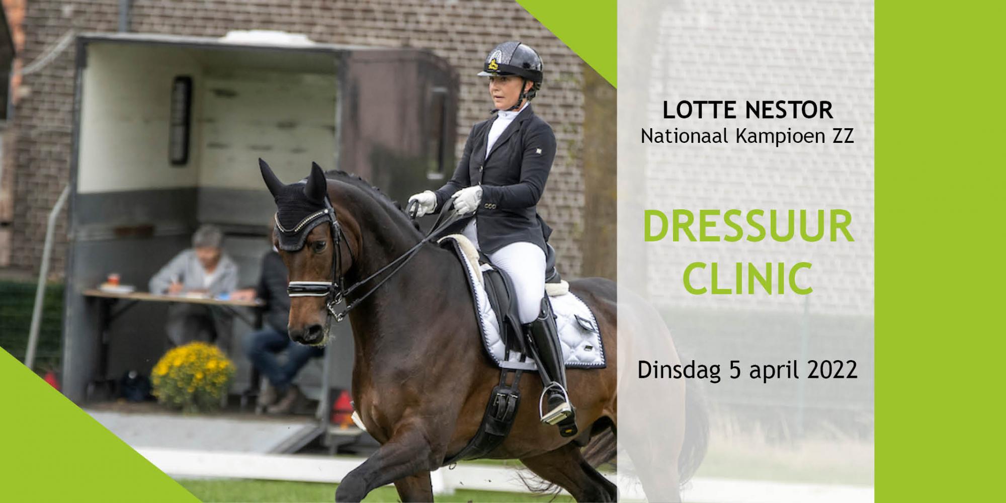 dressuurclinic LN RS
