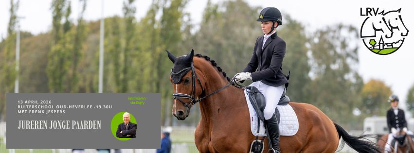 opleiding jonge paarden