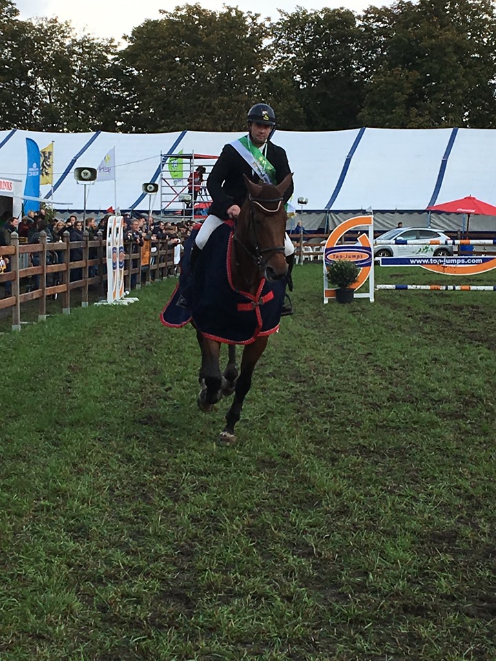 ruiter en paard