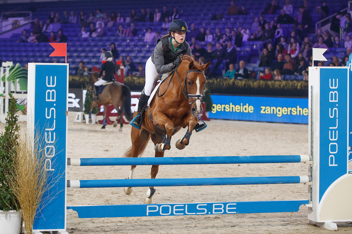 paard jumping