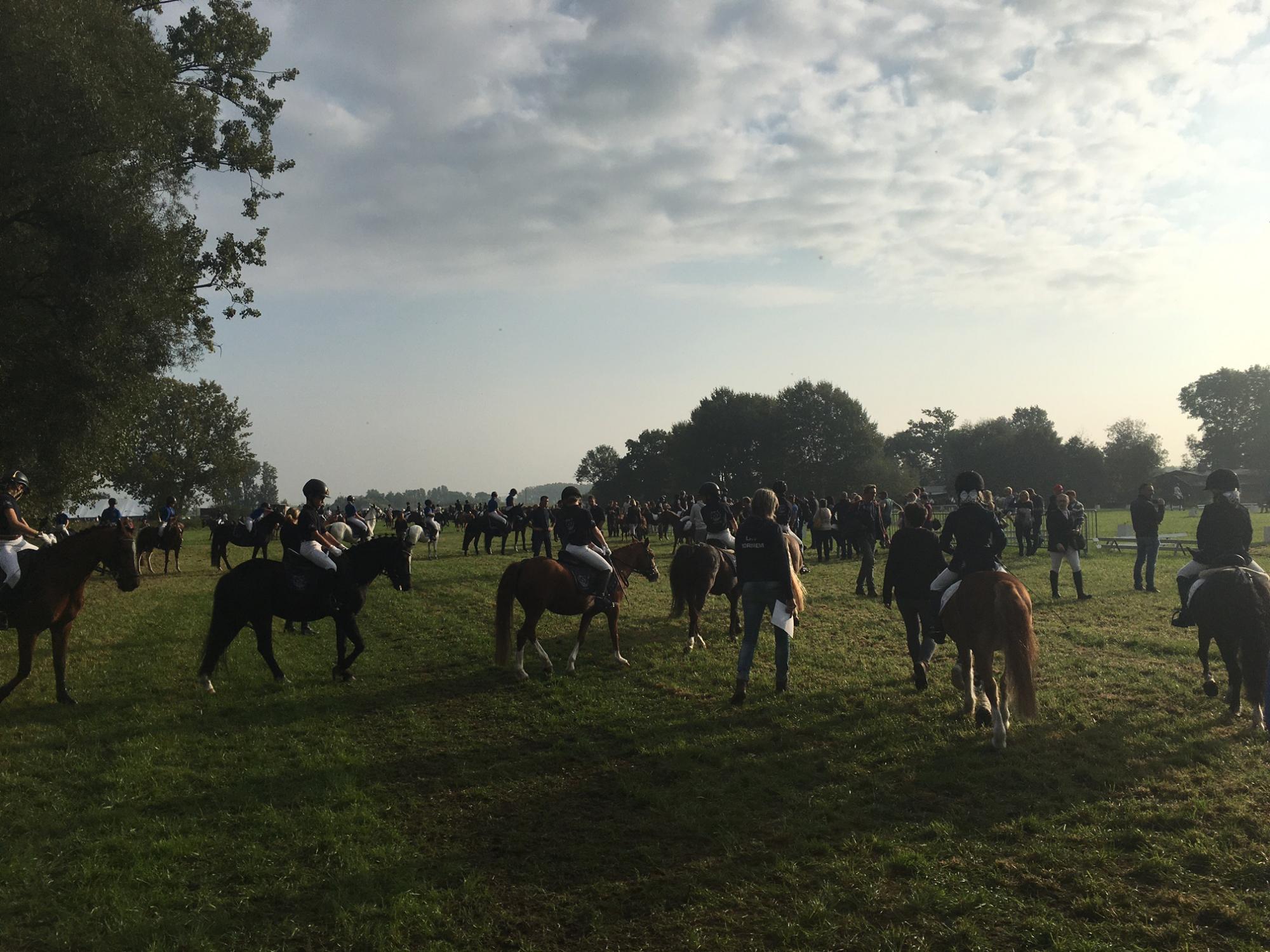 nationaal ponytornooi
