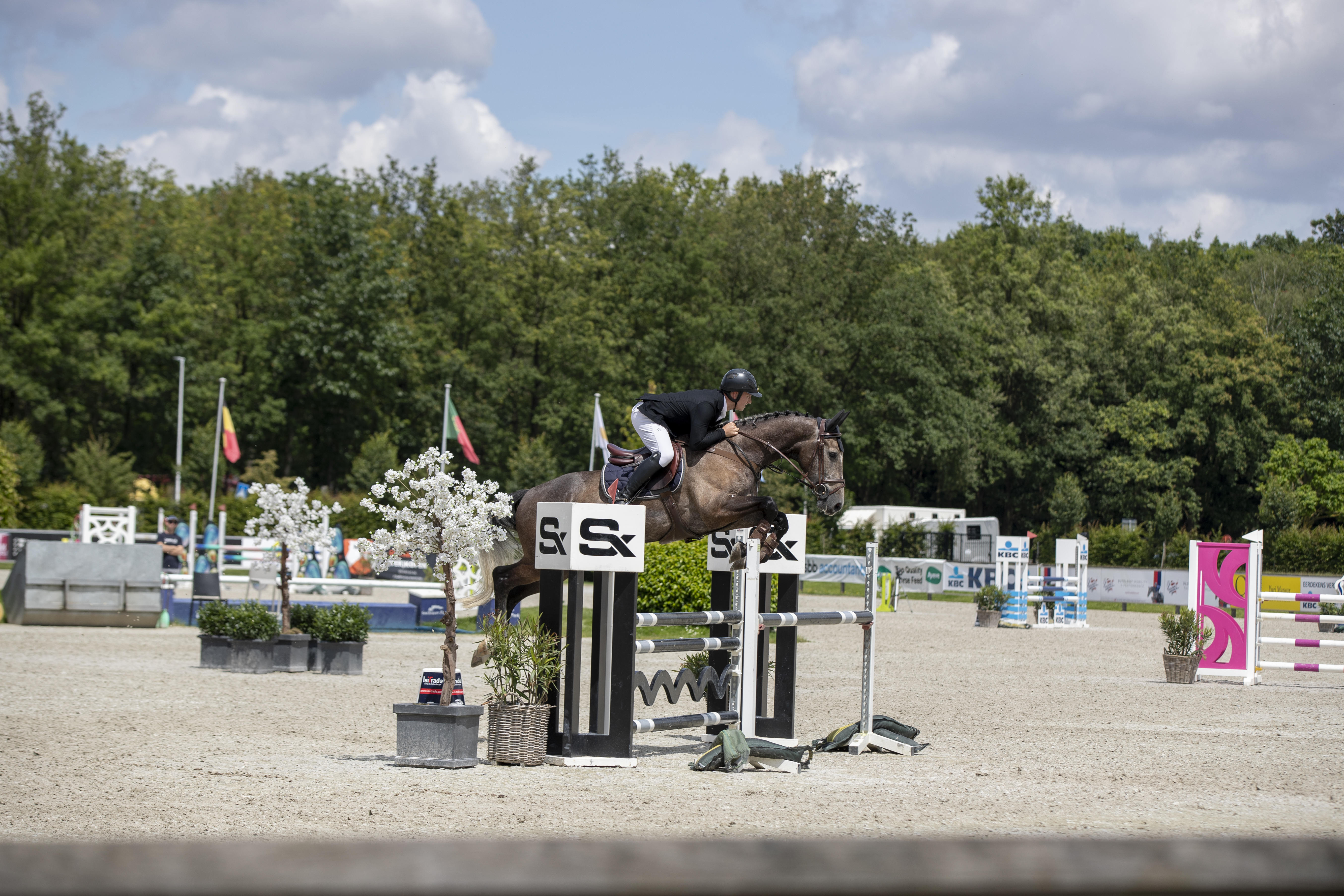 lrv stephex jonge paarden 