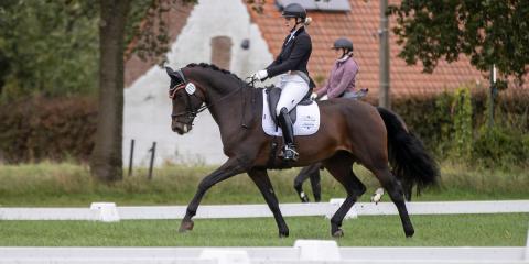 De Backer X-OUDE20B0675