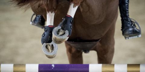 De Luca Lorenzo Jumping Mechelen