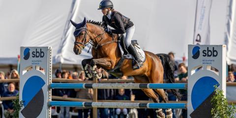 sbb - jonge pony