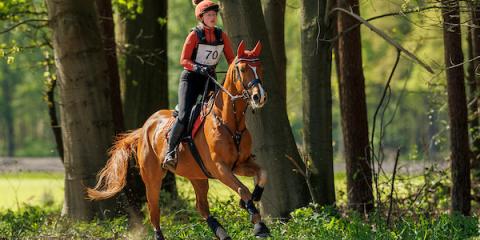 Eventing Zutendaal 2025