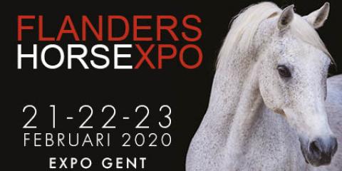 Flanders Horse Expo affiche