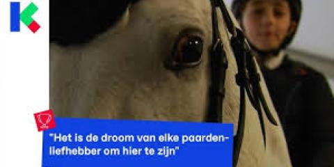 Karrewiet