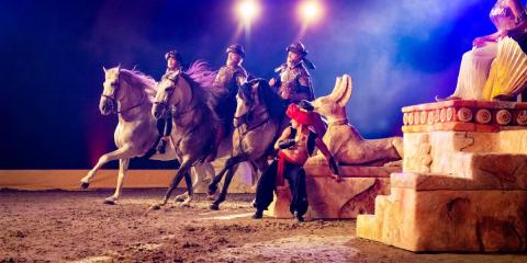paarden bij cavalluna