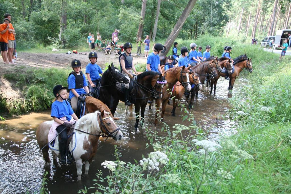Op kamp
