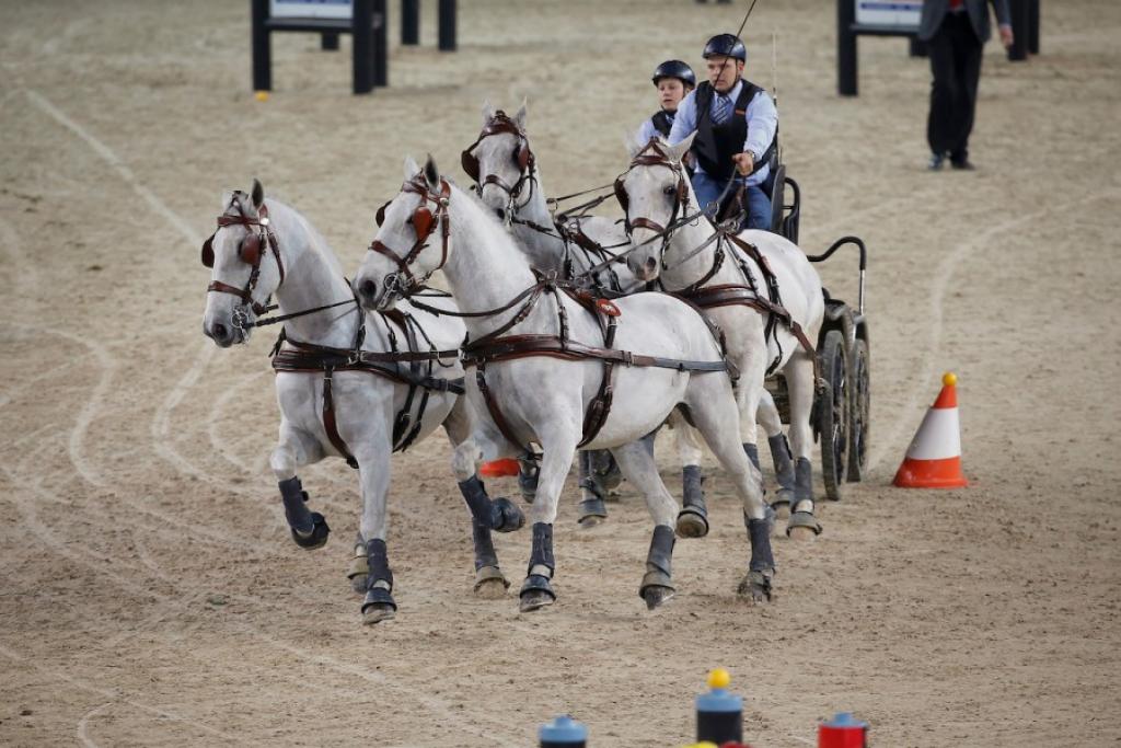 Mennen Flanders Indoor Cup