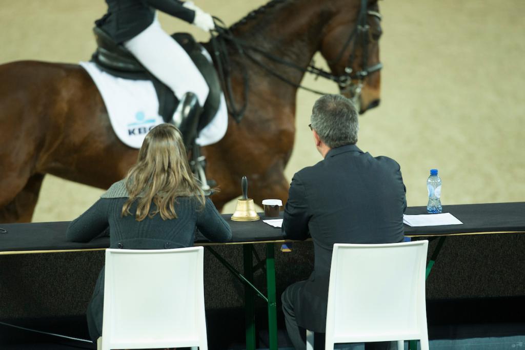 jury