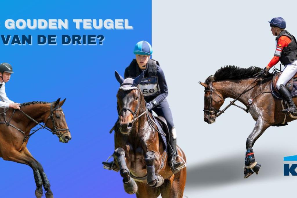 kbc gouden teugel