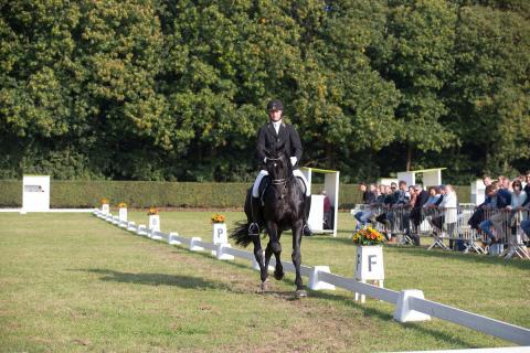 dressuur op gras