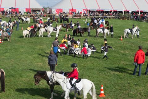 ponyspelen