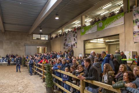 Ruiterschool Oud-Heverlee