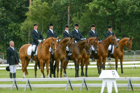 Zestal 2003